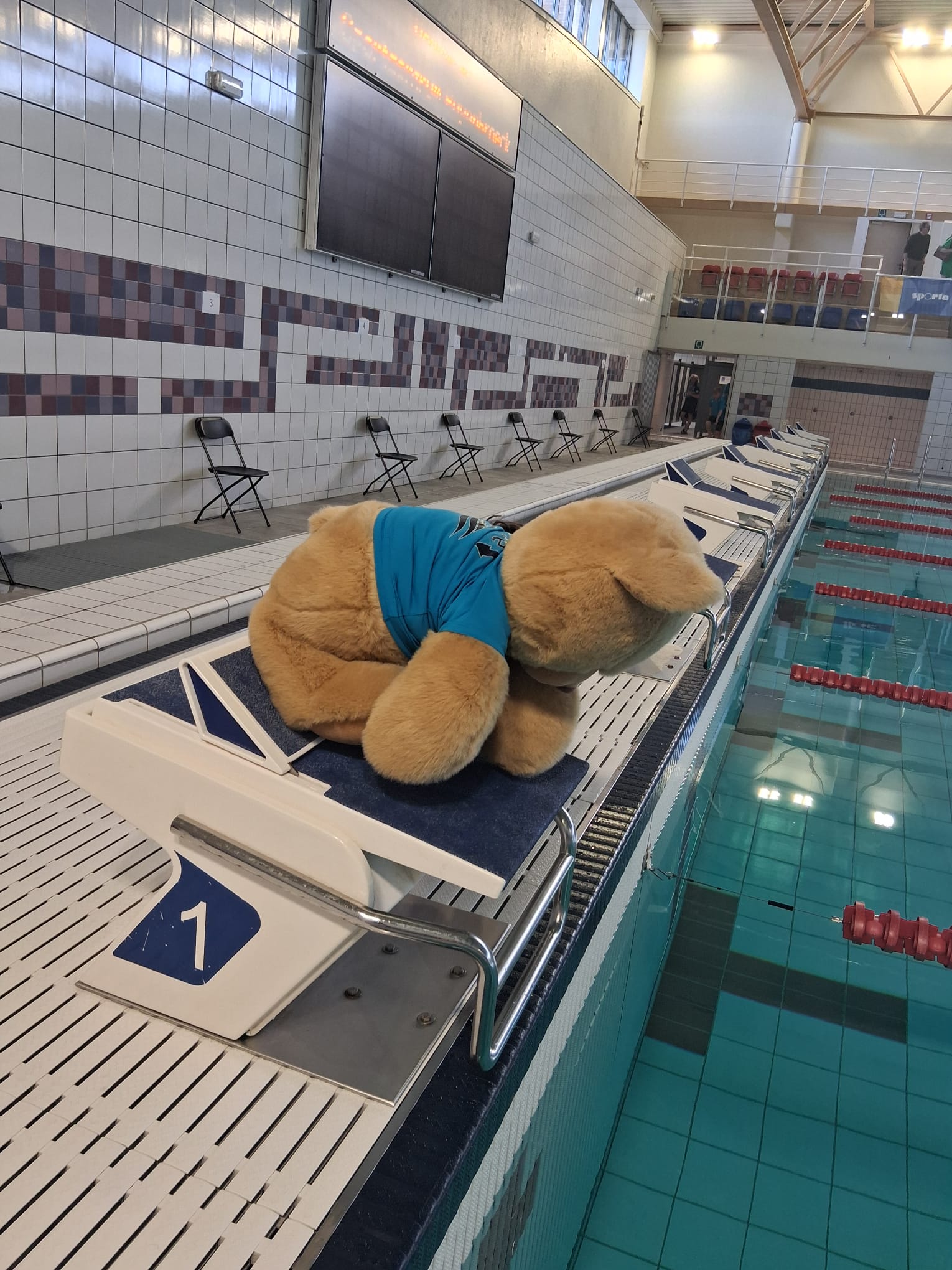 TiMe Swimming Team sterk vertegenwoordigd op finale in Puyenbroeck.